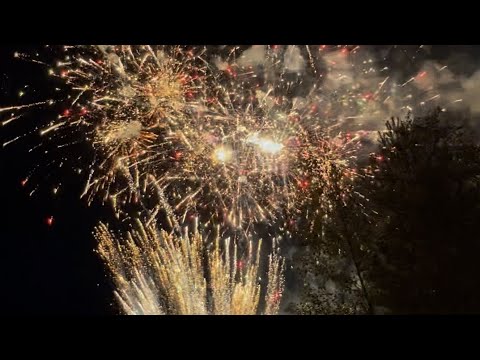 Casoolan Kriketivedonlyönnin Perusteet