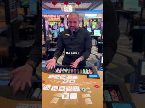 Das Spielziel und der grundlegende Ablauf